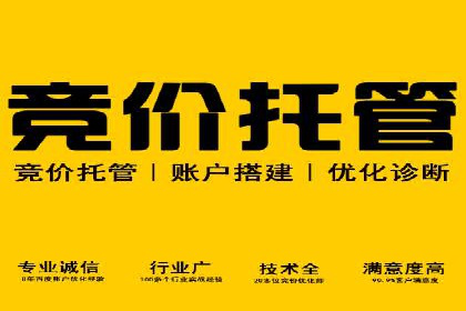 sem托管服务案例：如何实现广告投放精准定位